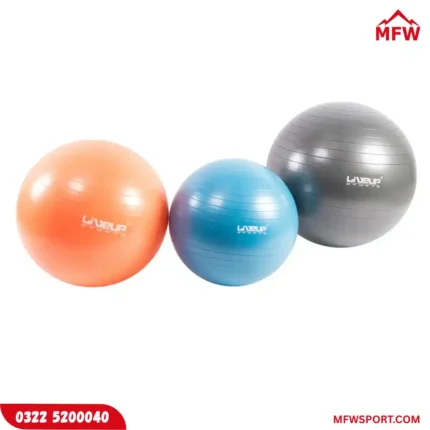 Liveup Gym Ball Anti-Burst 55cm – LS3222