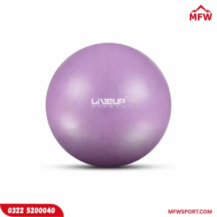 Liveup Yoga Mini Ball Pilates 20cm – Portable Core Strength & Flexibility Trainer